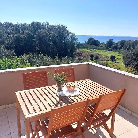 Apartments Peric Zadar Ngoại thất bức ảnh